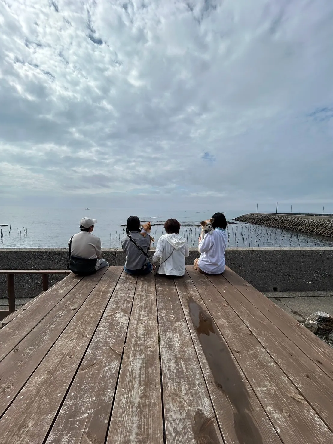 【ご来店わんこ🐶】