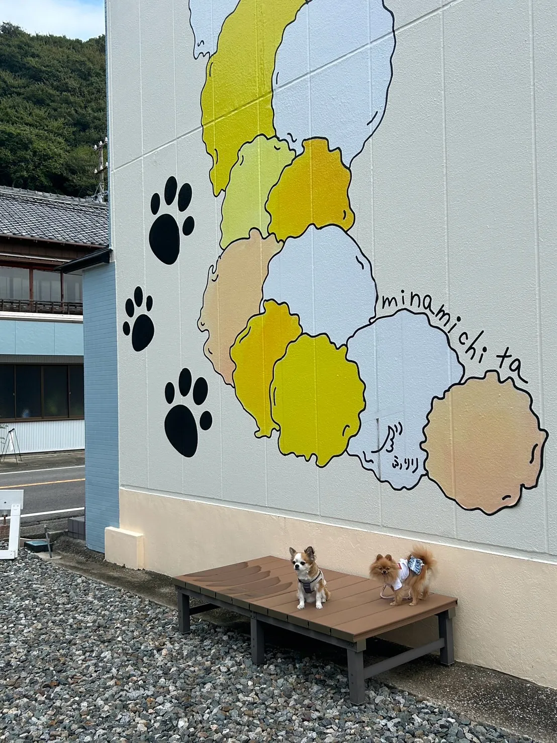 【ご来店わんこ🐶】