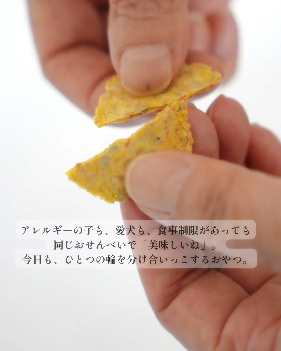 🐾【ふりり 営業日のお知らせ】🐾