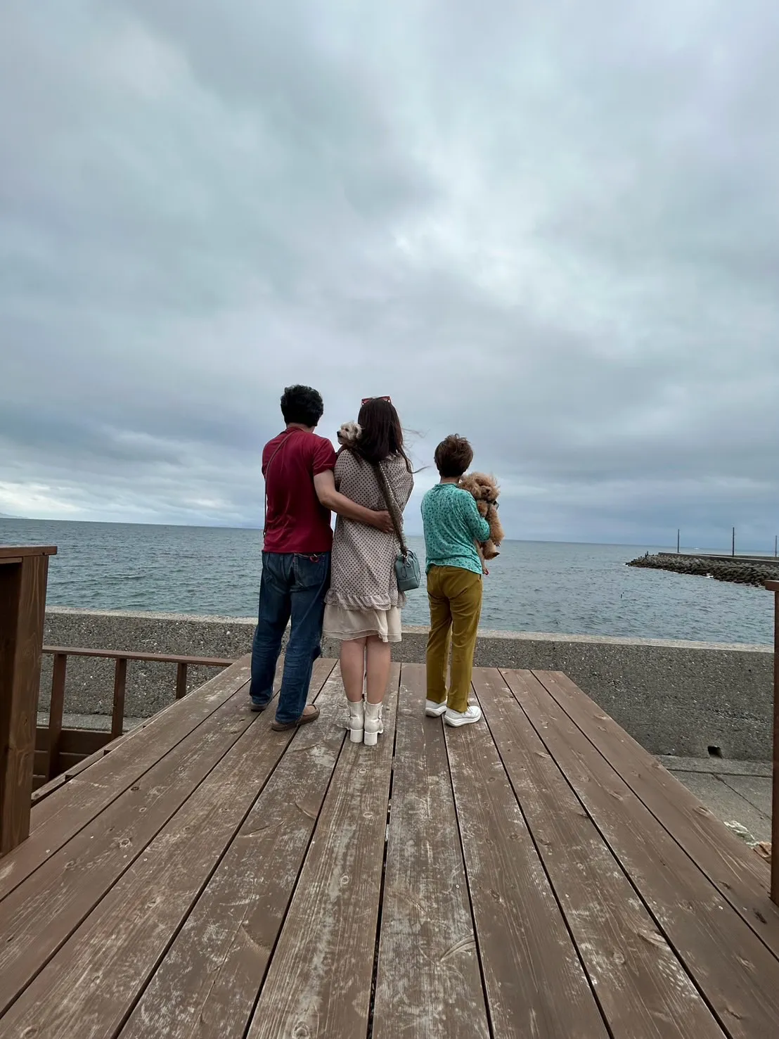 【ふりりのご来店わんこ🐾】ルナちゃん（トイプードル・9歳）＆...