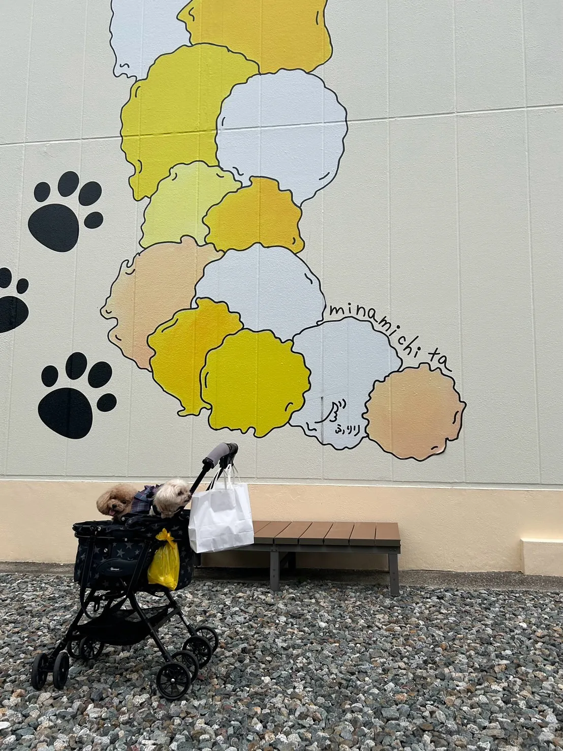 【ふりりのご来店わんこ🐾】ルナちゃん（トイプードル・9歳）＆...