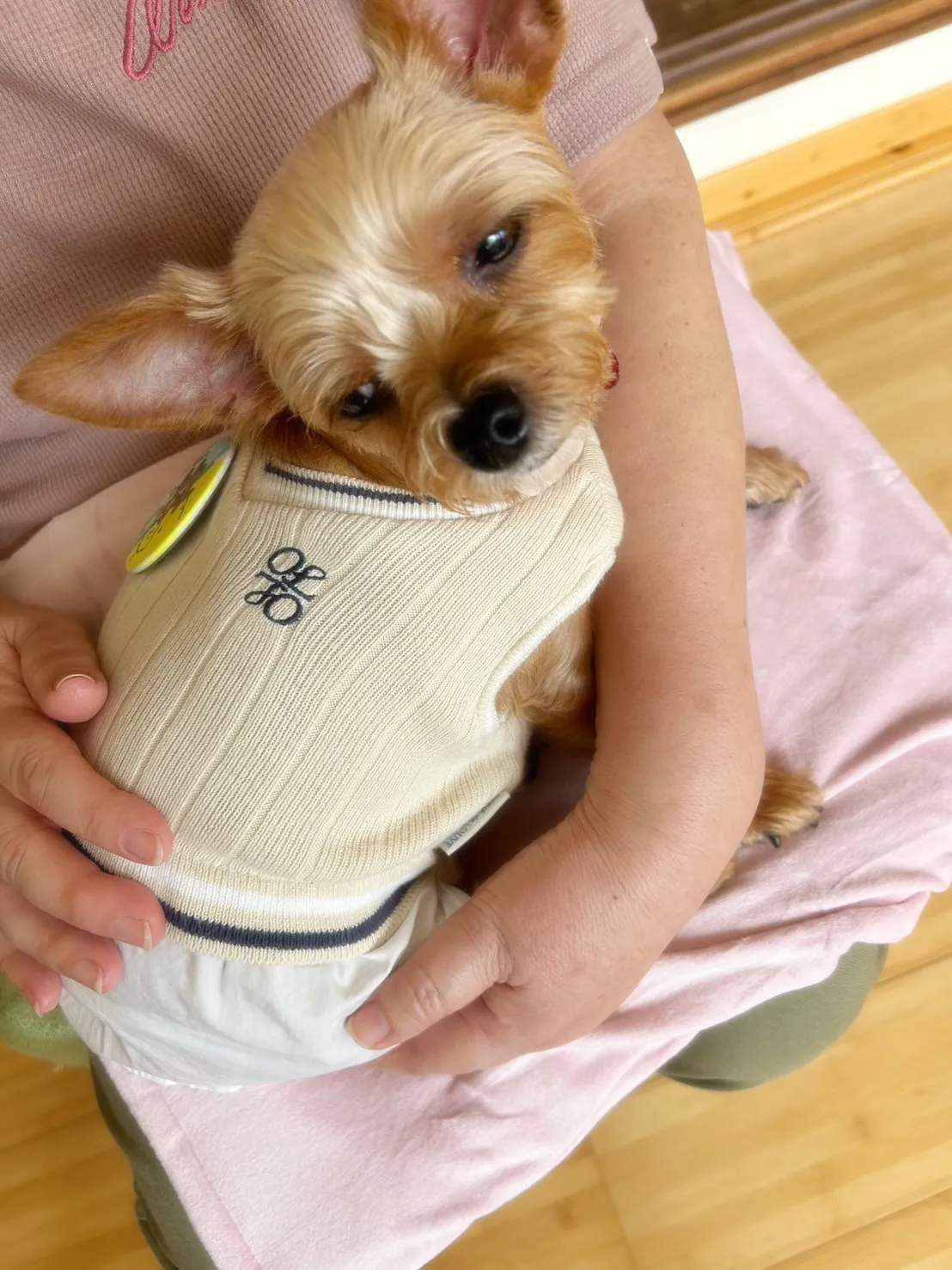 お名前アートして、整体して、おせんべいも作る。