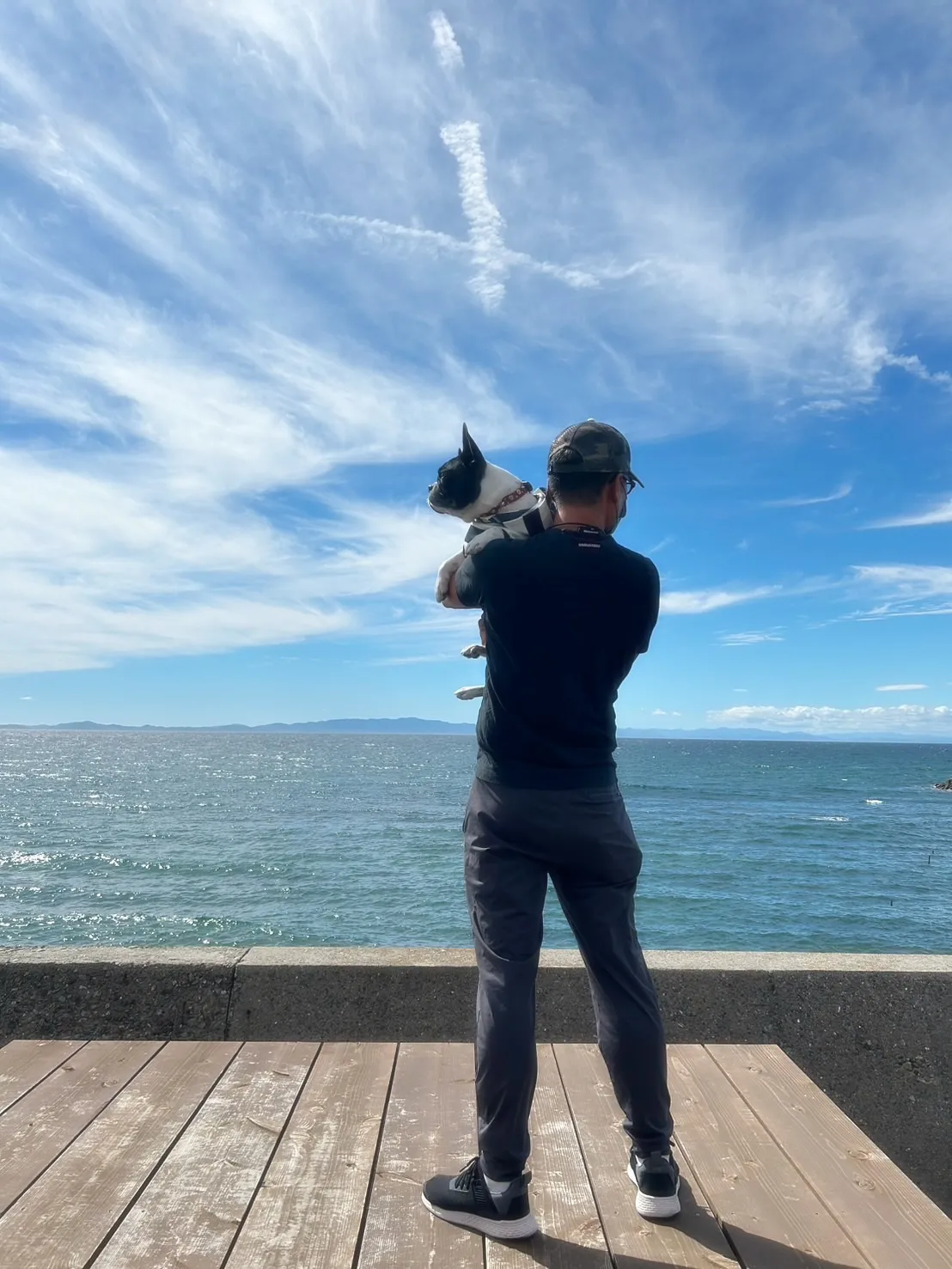 【ふりりご来店わんこ🐾】コチちゃん(フレンチブルドッグ・4歳...