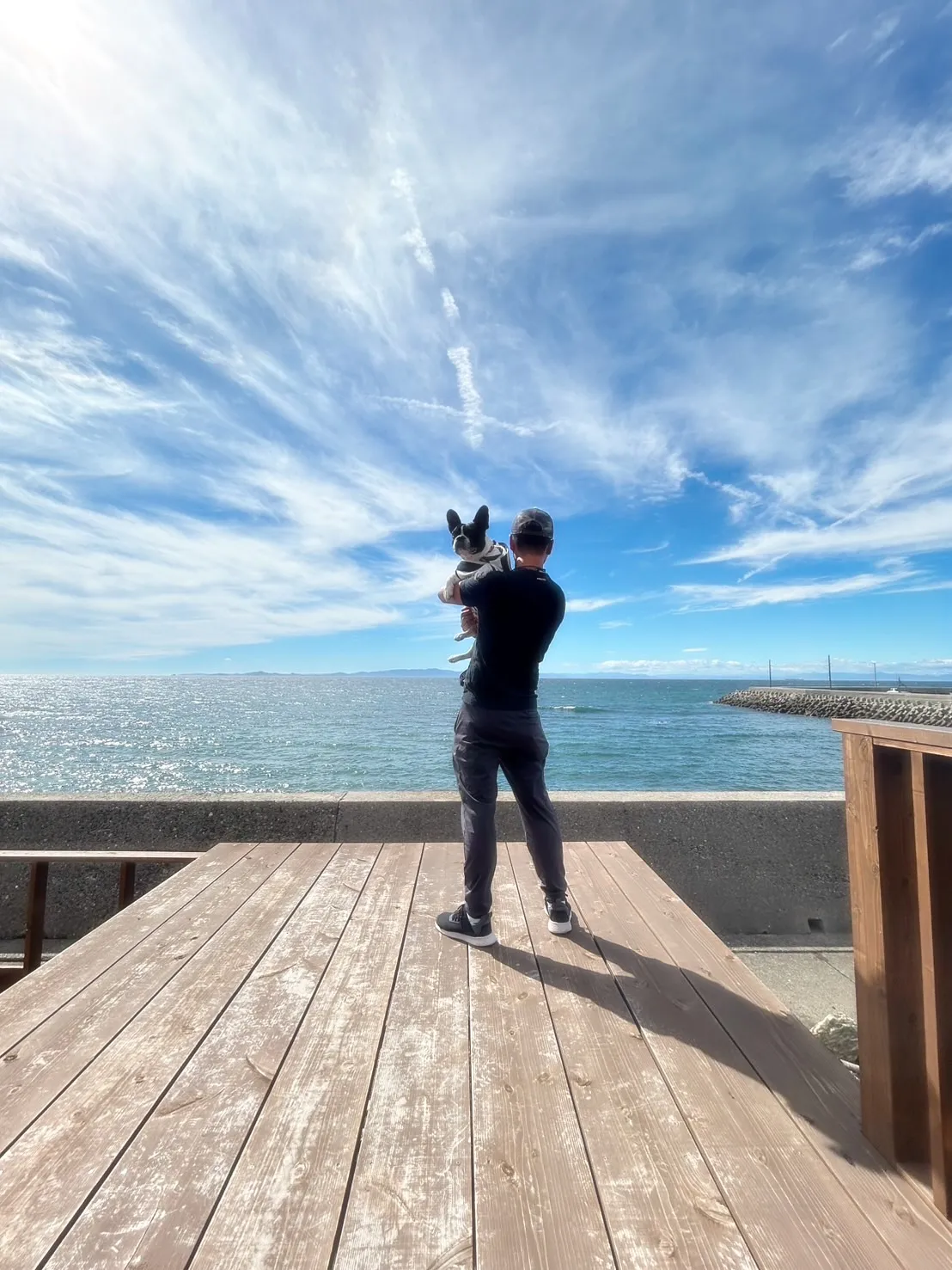 【ふりりご来店わんこ🐾】コチちゃん(フレンチブルドッグ・4歳...