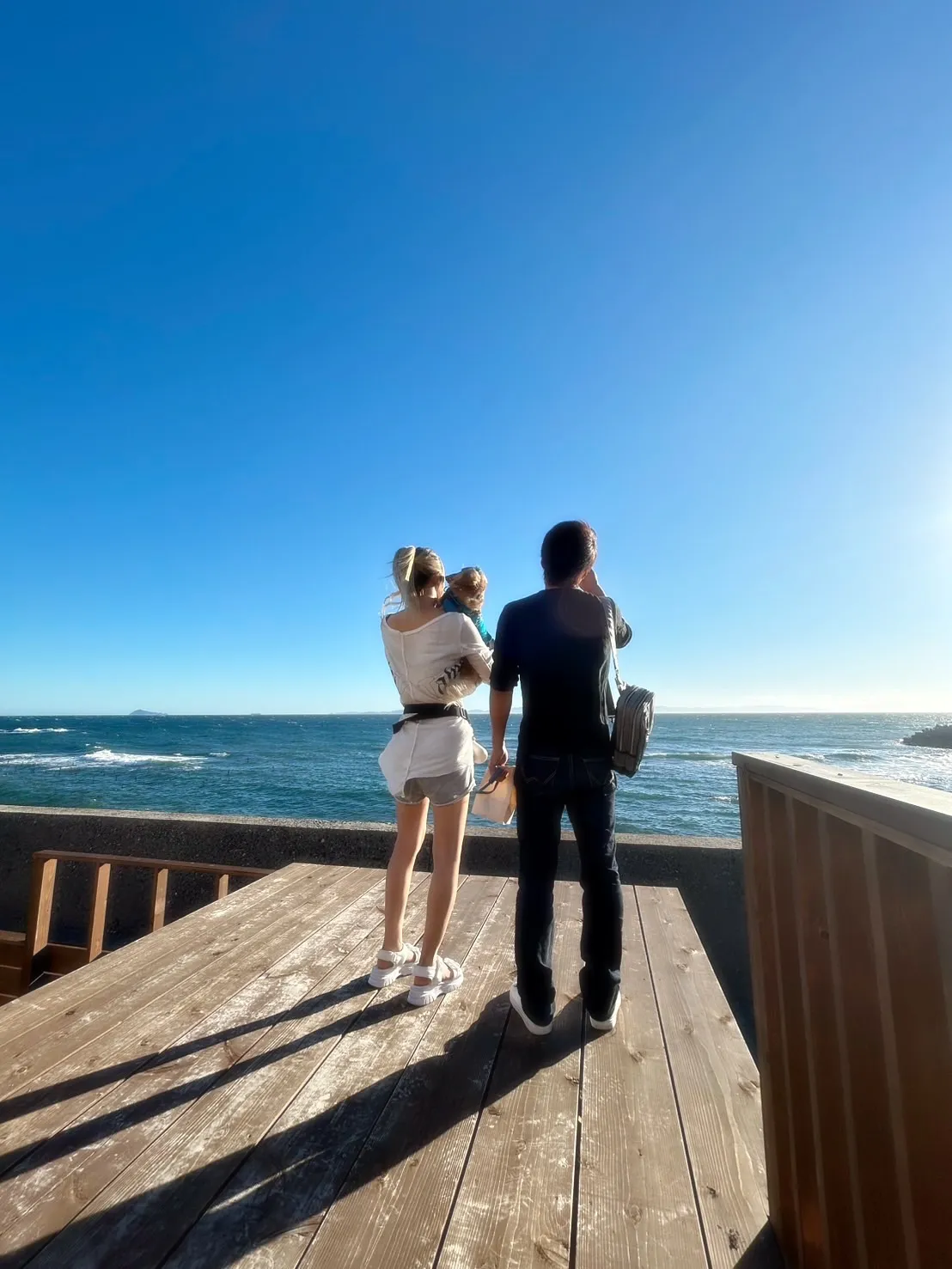 【ご来店わんこ🐾】