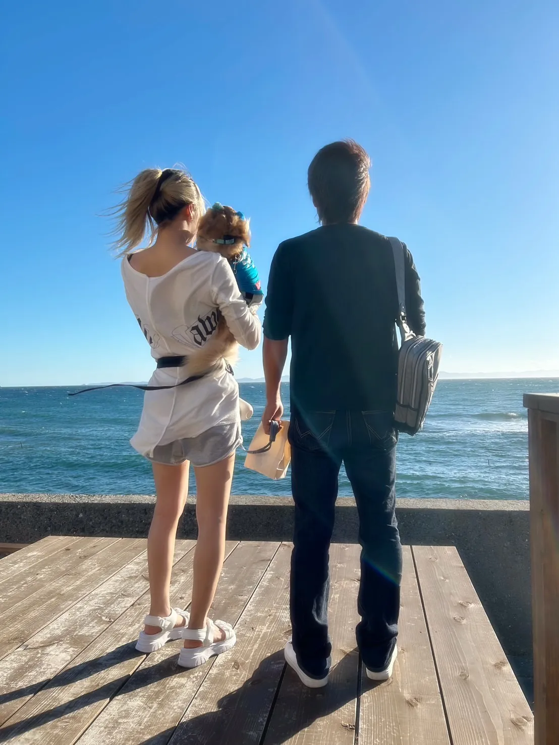 【ご来店わんこ🐾】