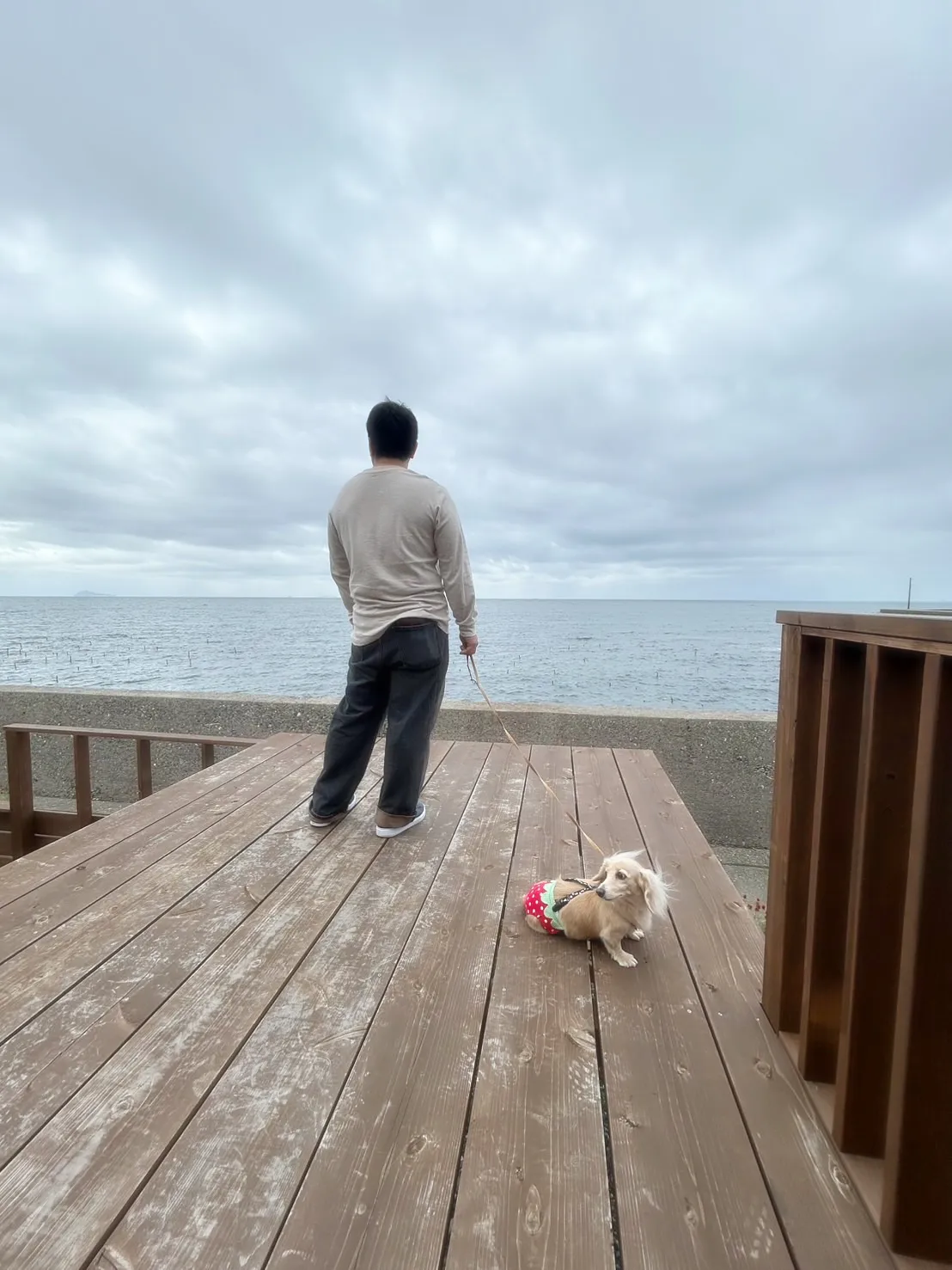 【ふりりのご来店わんこ🐾】