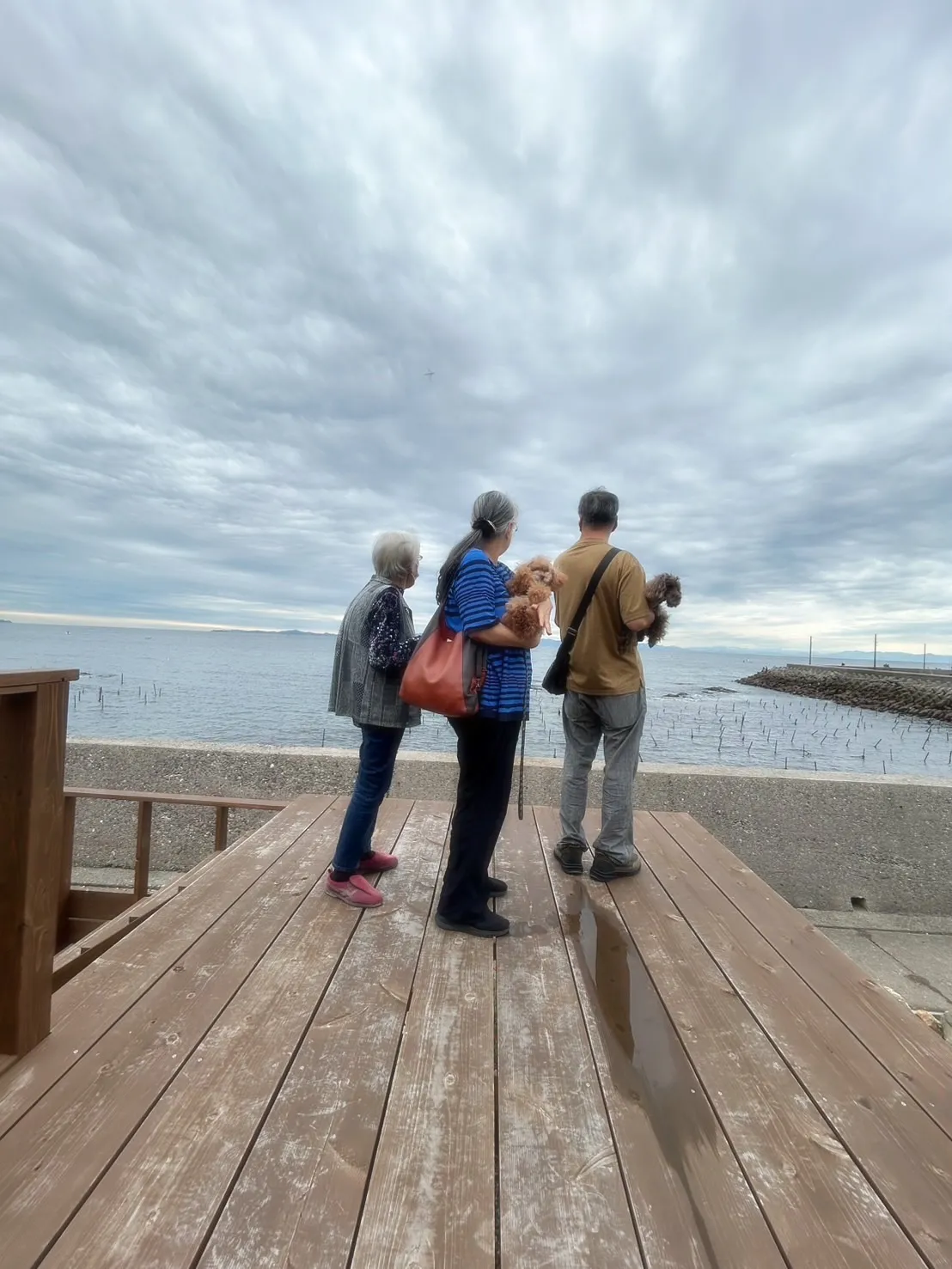 【ご来店わんこ🐾】
