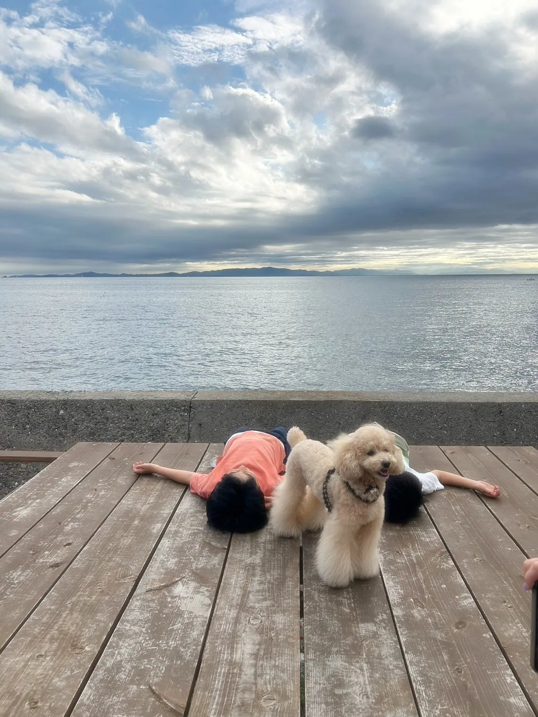 【ご来店わんこ🐾】
