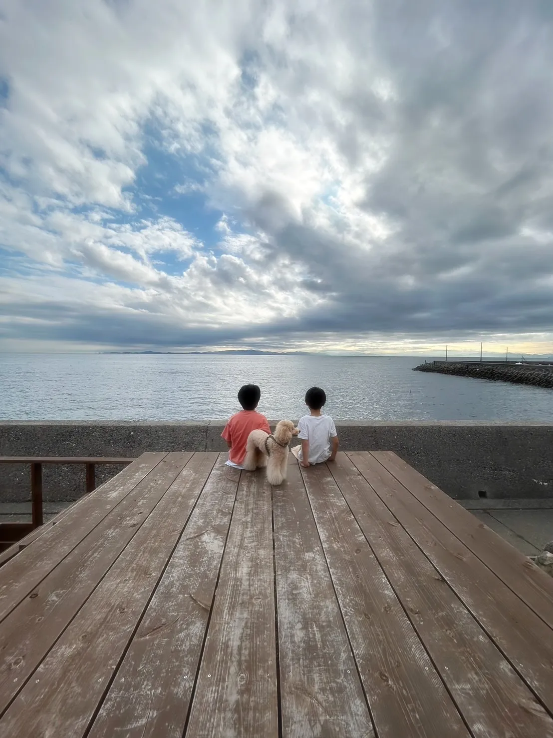 【ご来店わんこ🐾】