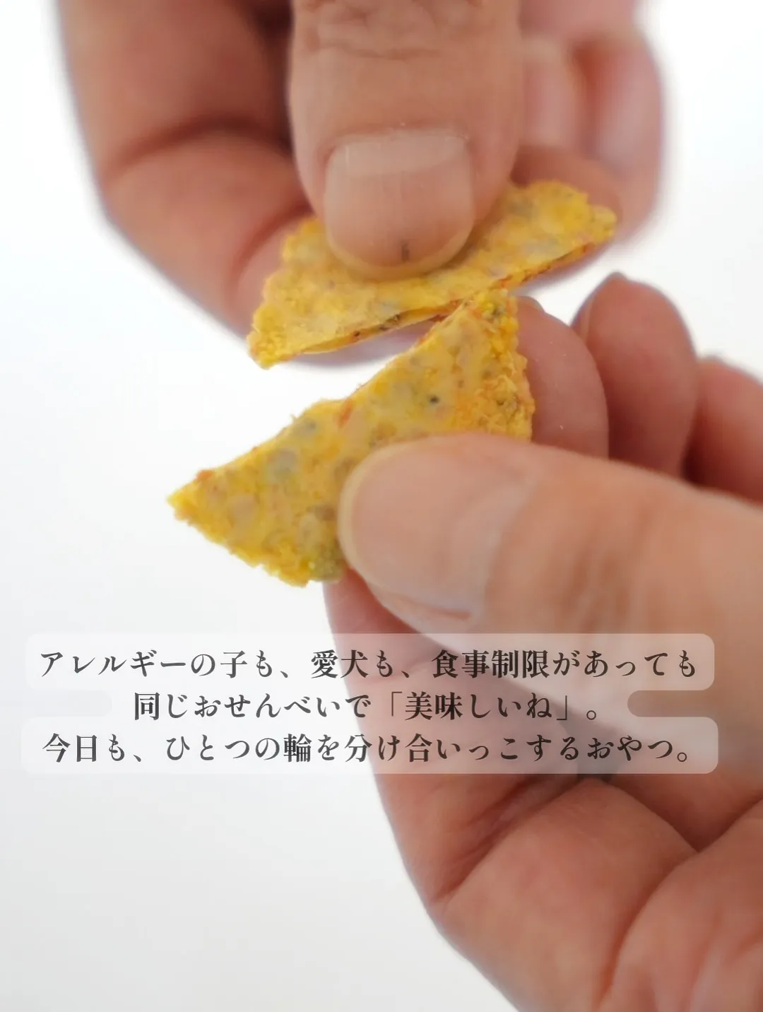 【ご来店ファミリー🍘✨】