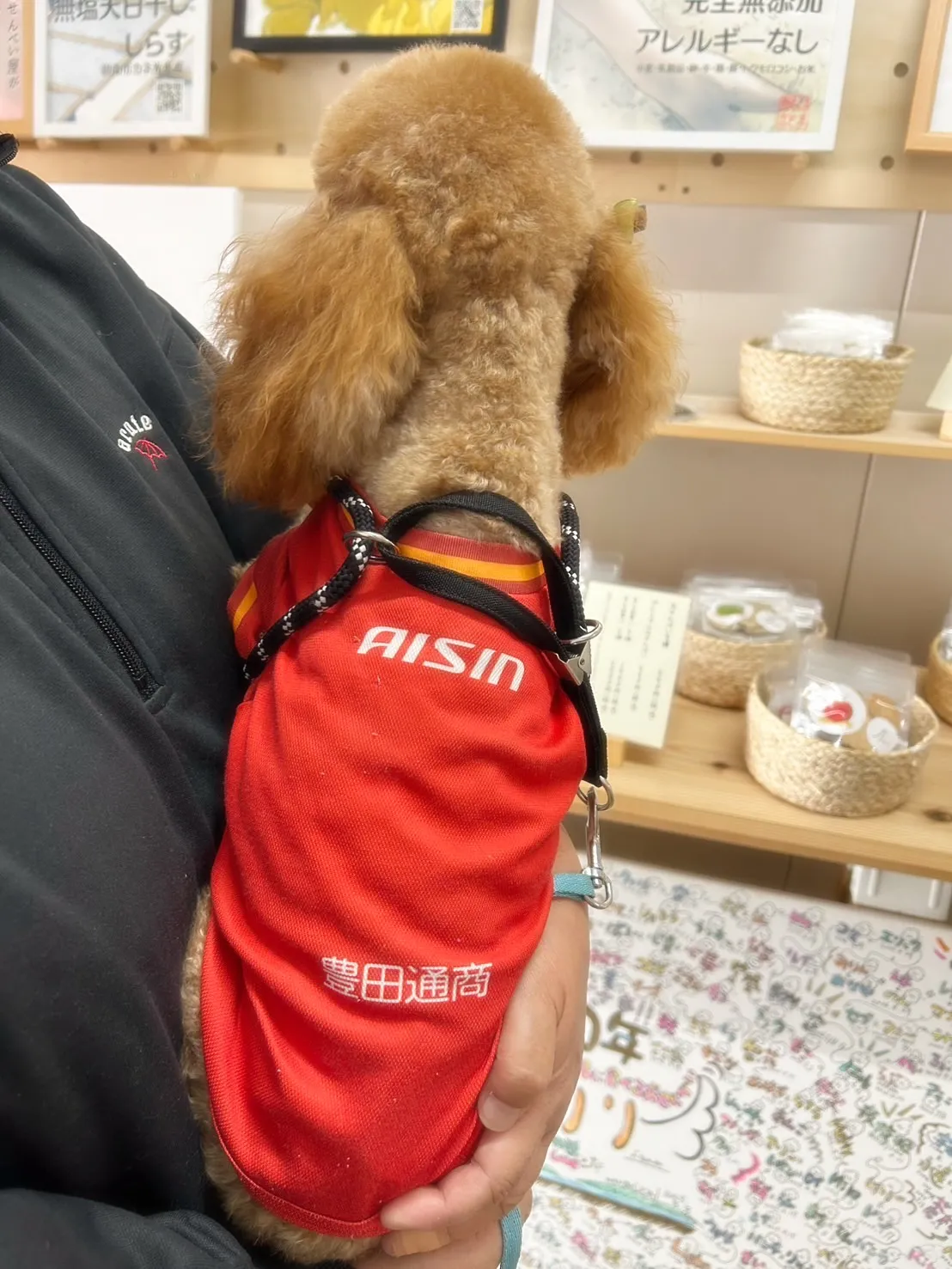 【ご来店わんこ🐾】