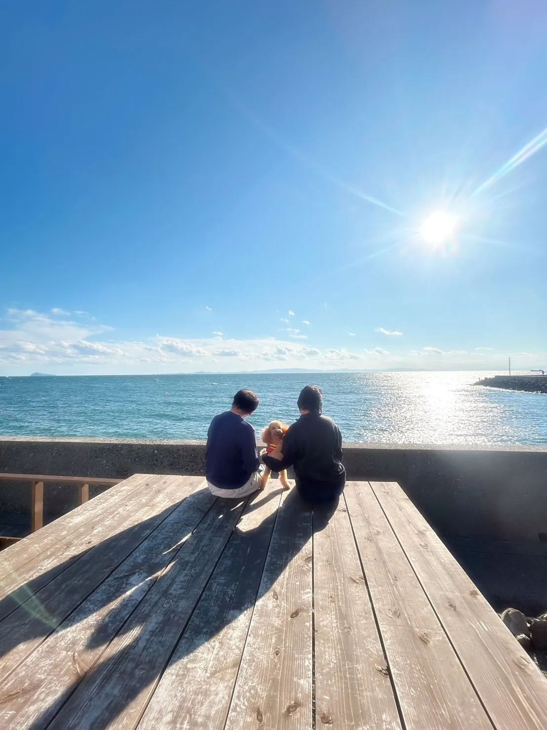 【ご来店わんこ🐾】