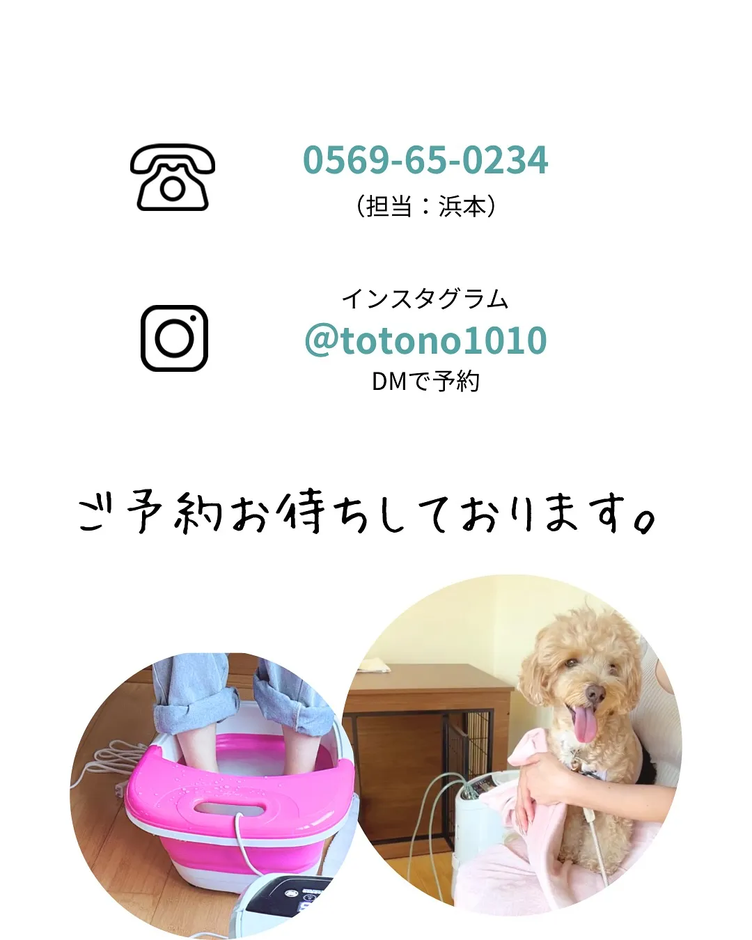 愛犬と一緒に、貸切の古民家で“水素×整体”を【南知多町】