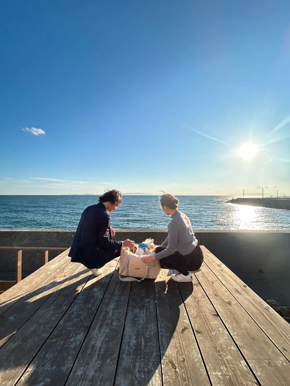 【ご来店わんこ🐾】ベルくん(チワワ・2歳)&ルビーくん(チワ...