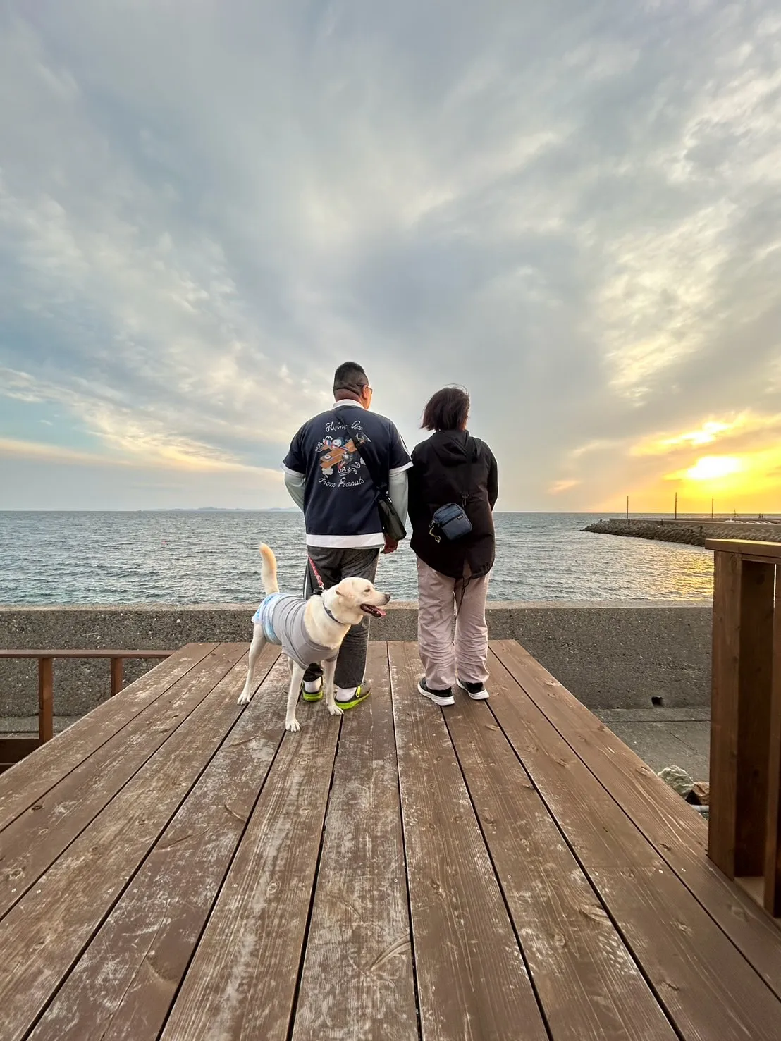 🐾らぶちゃん（4歳）ご来店🐾｜愛犬も無添加おせんべいふりり