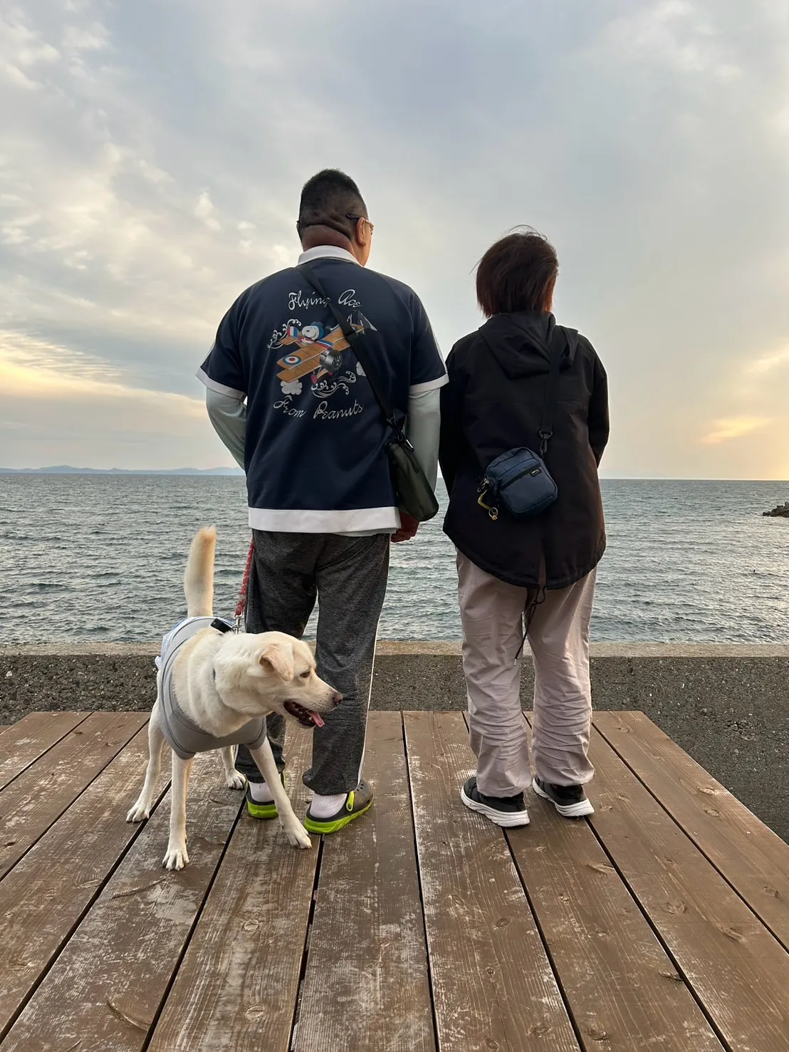 🐾らぶちゃん（4歳）ご来店🐾｜愛犬も無添加おせんべいふりり