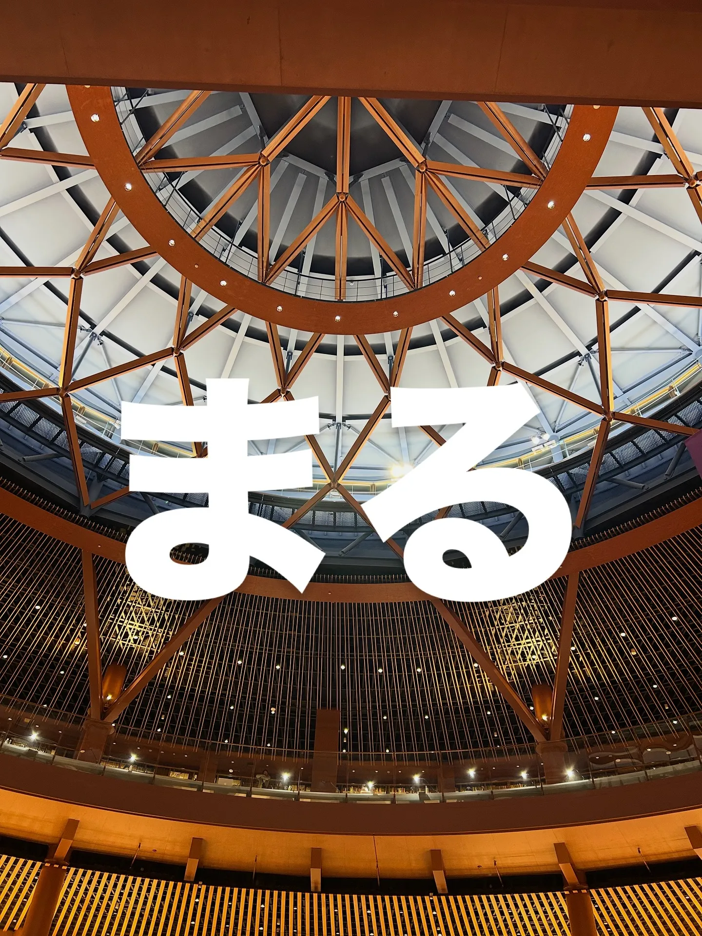 ワンまるプチに会いに来てくれてありがとうございます😊