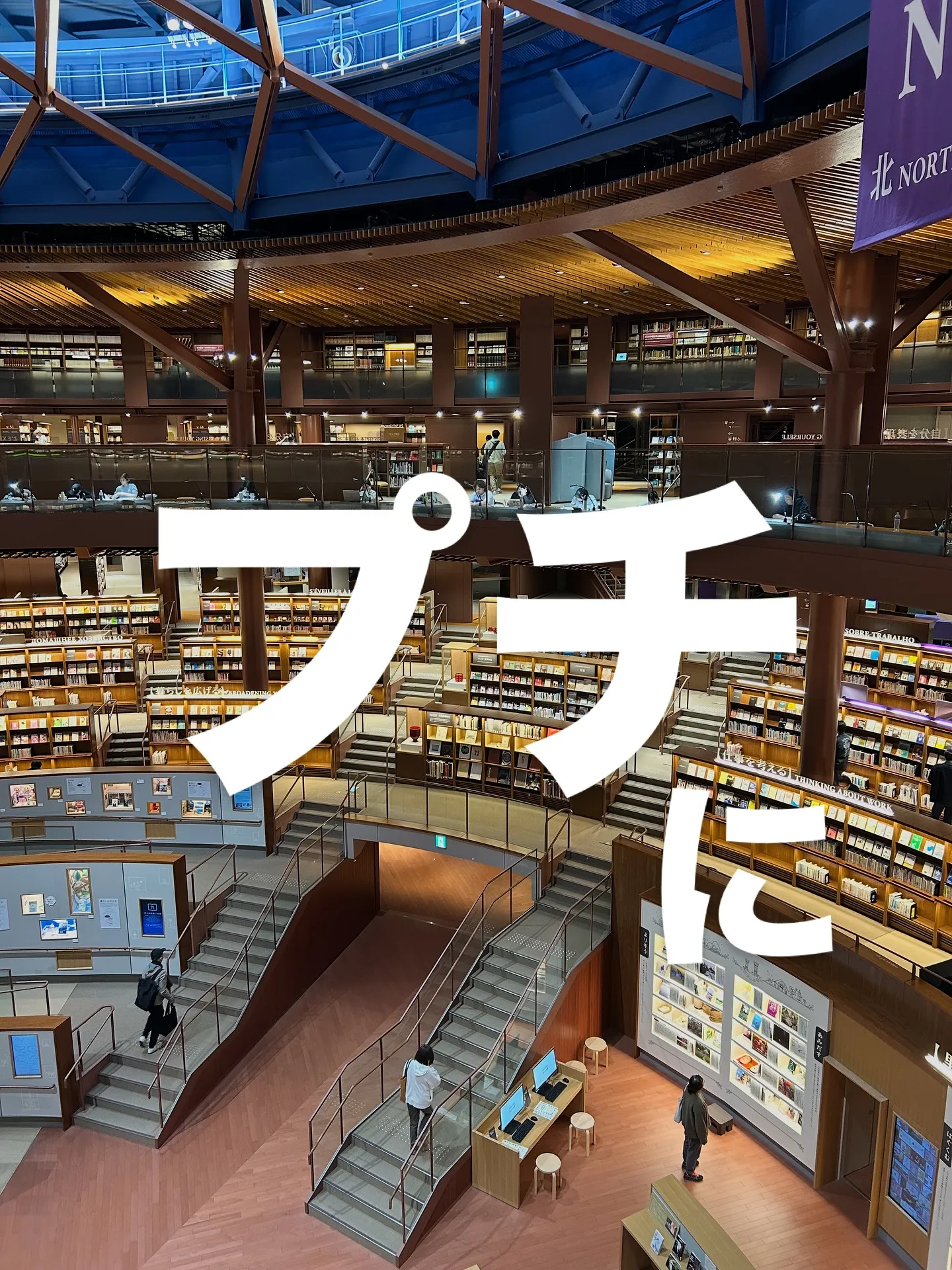 ワンまるプチに会いに来てくれてありがとうございます😊