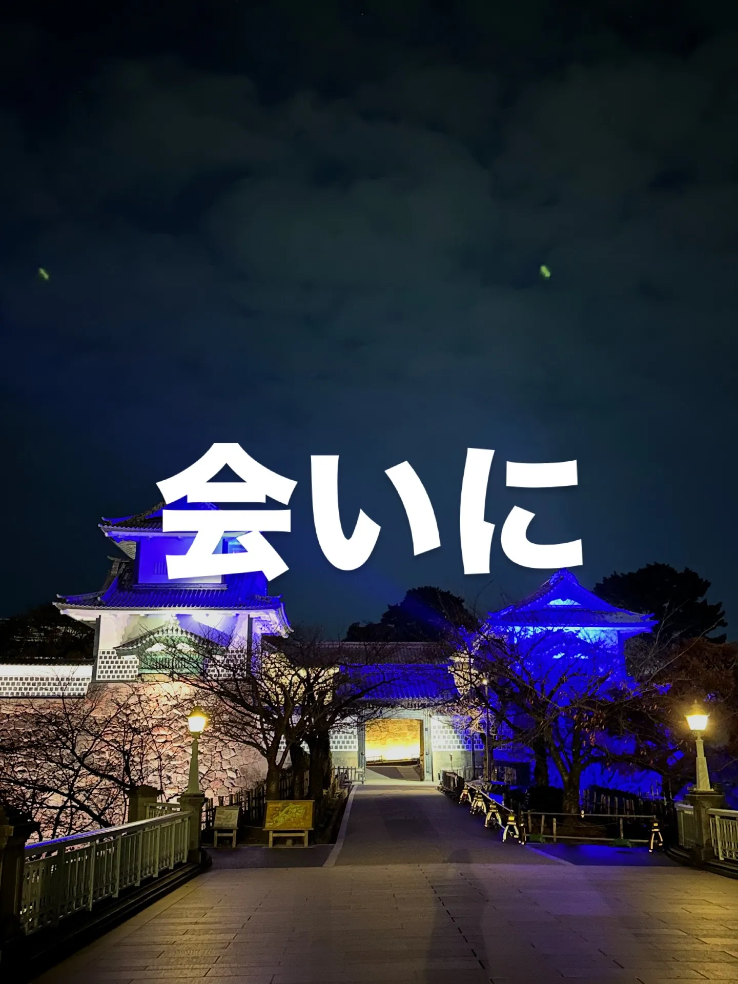 ワンまるプチに会いに来てくれてありがとうございます😊