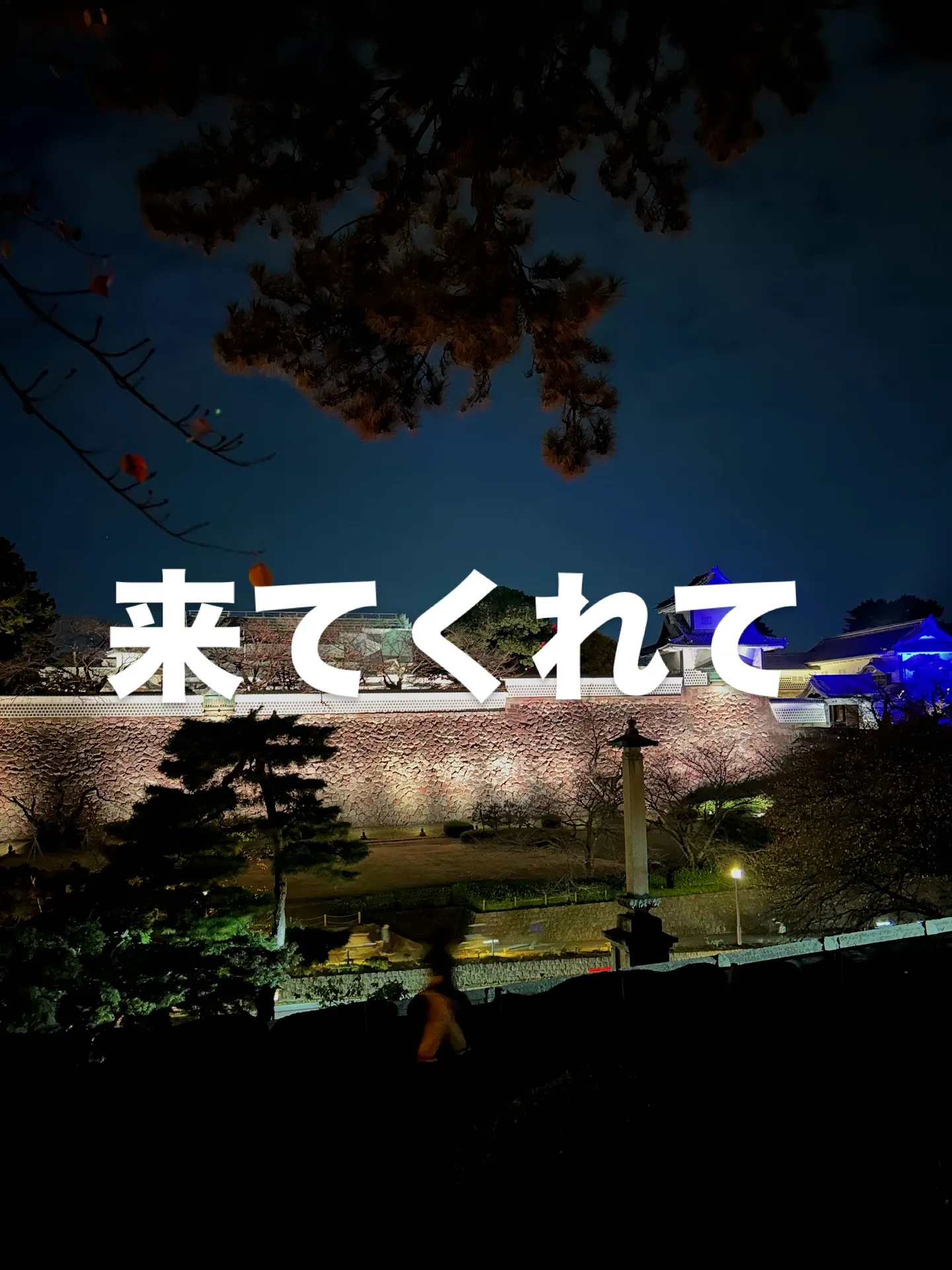 ワンまるプチに会いに来てくれてありがとうございます😊