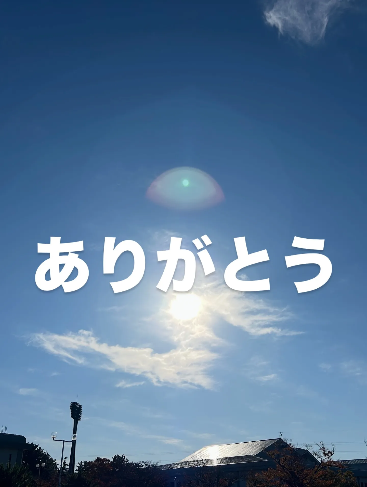 ワンまるプチに会いに来てくれてありがとうございます😊