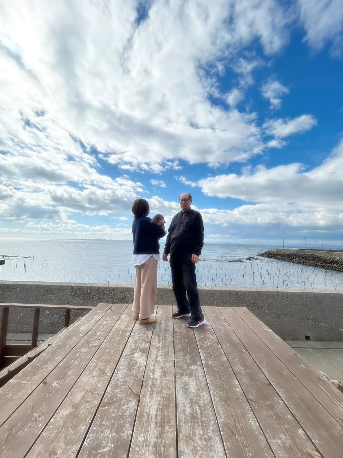 真凜（まりん）ちゃん｜ミニチュアダックス 9歳