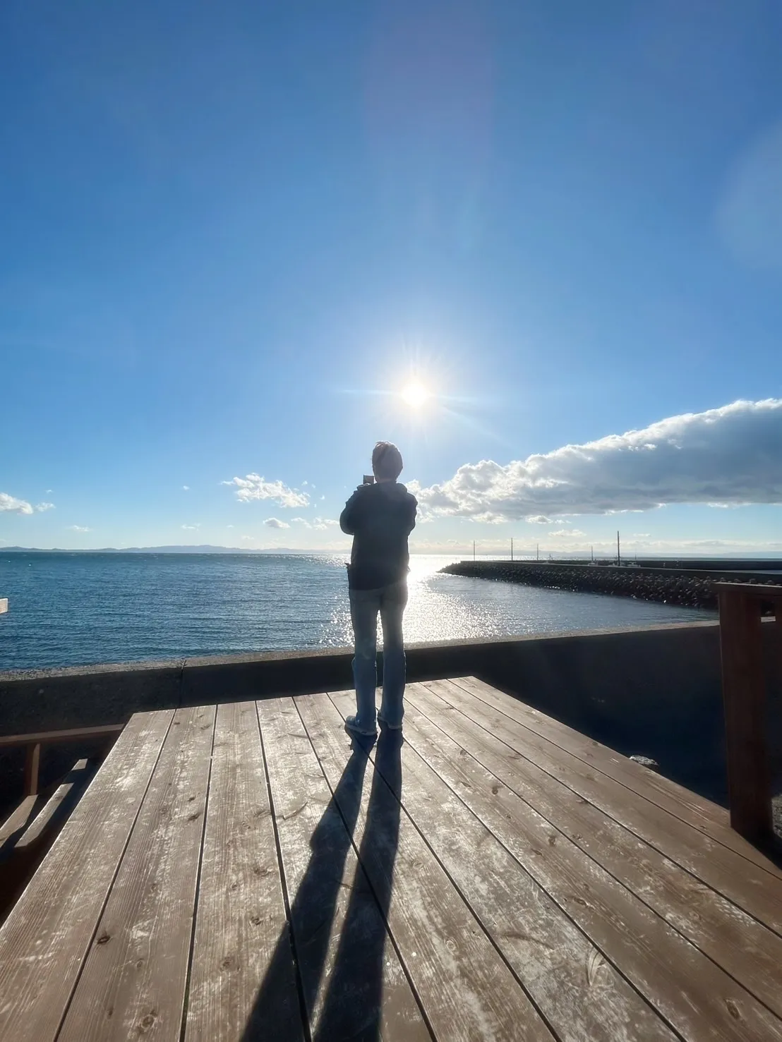 シュンくん（12月で15歳／テリアMIX）