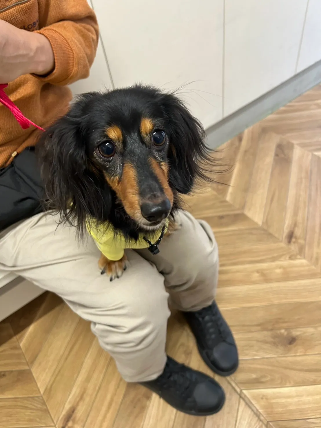 【ご来店ありがとうございます🌿】