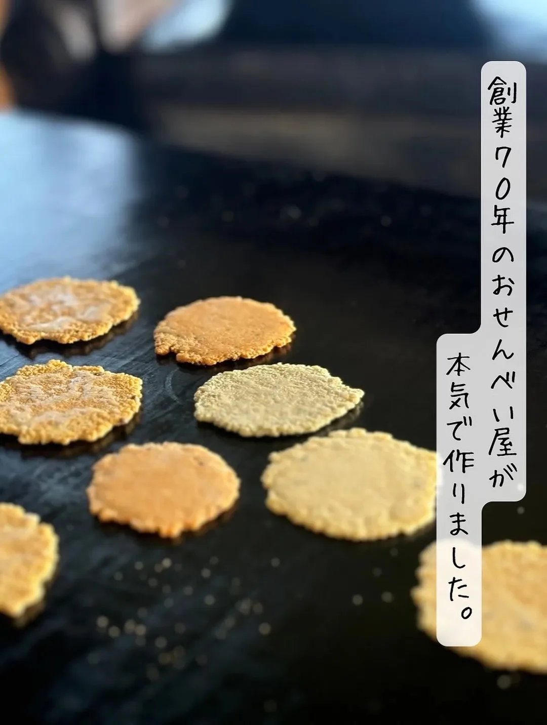 【ご来店ありがとうございます🌿】琥珀くん(トイプードル 5歳...