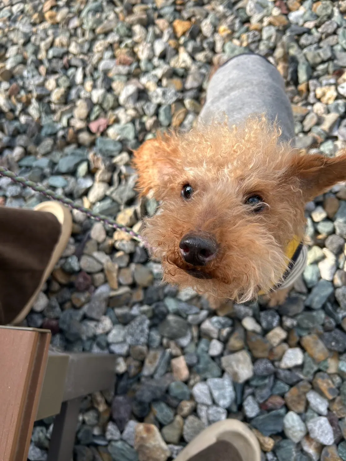 【ご来店ありがとうございます🌿】