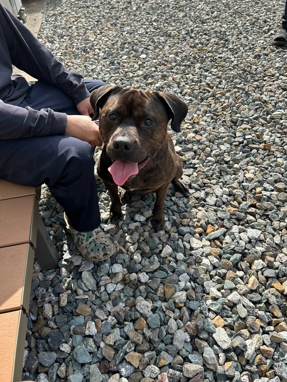 【ご来店ありがとうございます🌿】