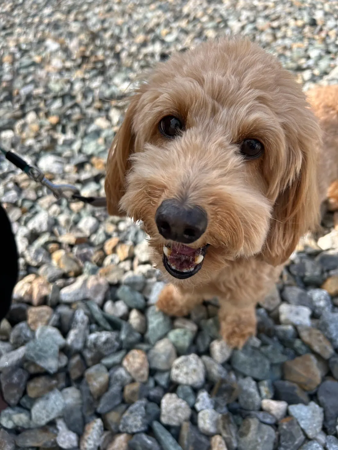 【ご来店ありがとうございます🌿】