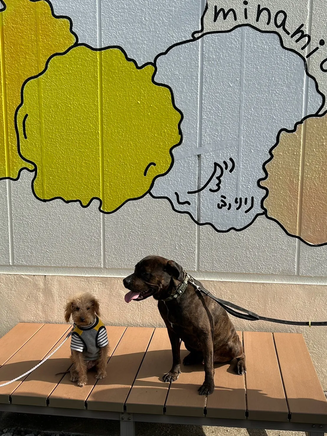 【ご来店ありがとうございます🌿】