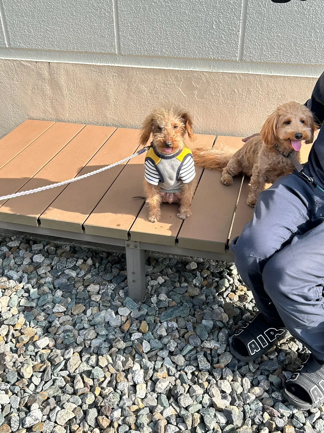 【ご来店ありがとうございます🌿】