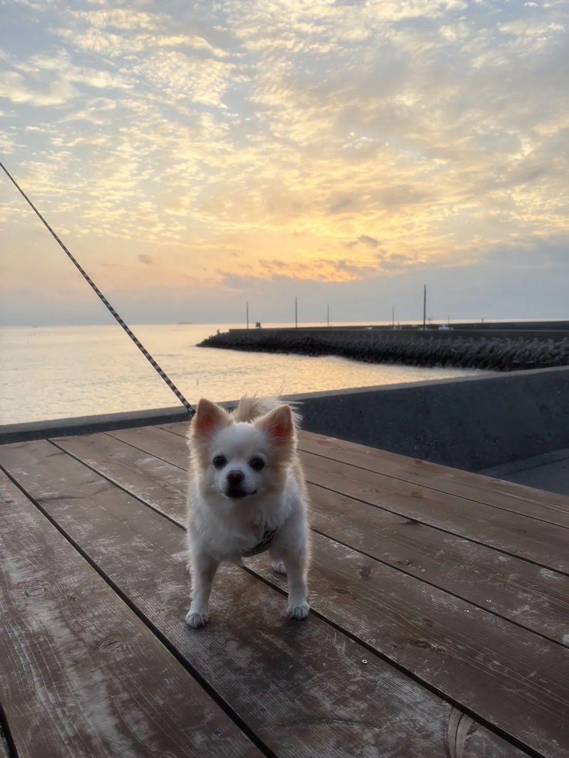 【ご来店ありがとうございます🌿】