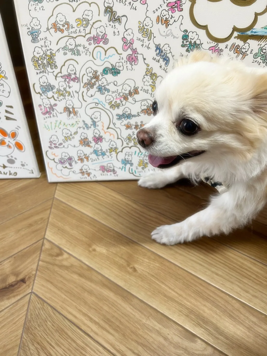 【ご来店ありがとうございます🌿】