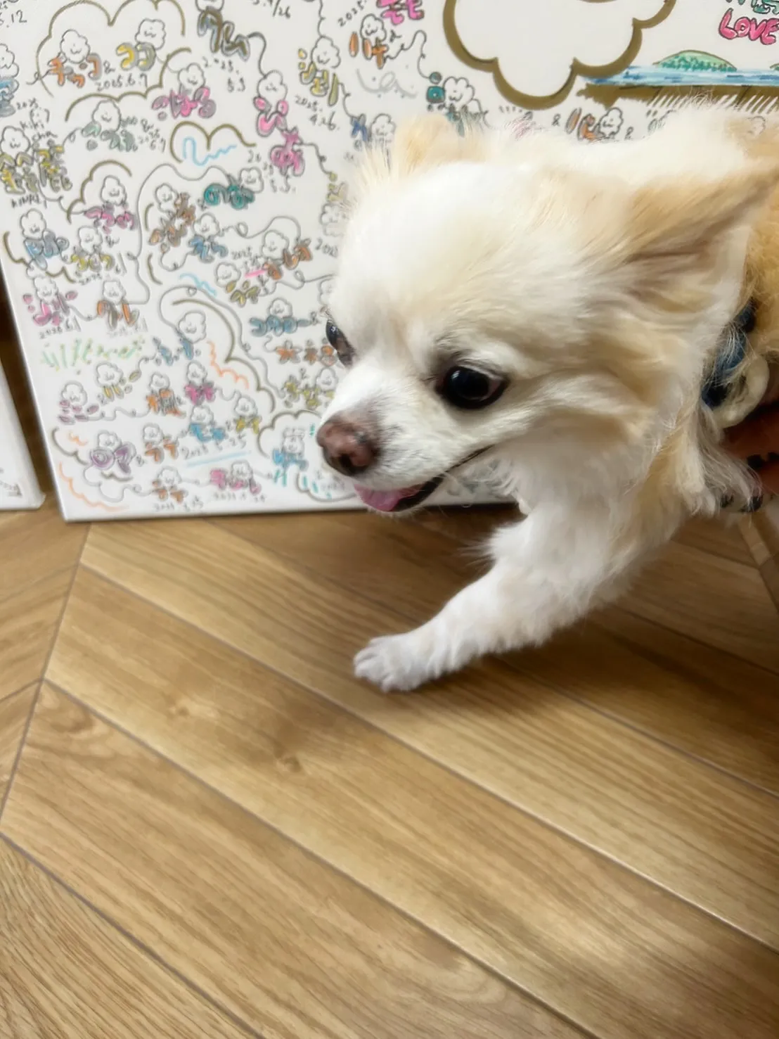 【ご来店ありがとうございます🌿】