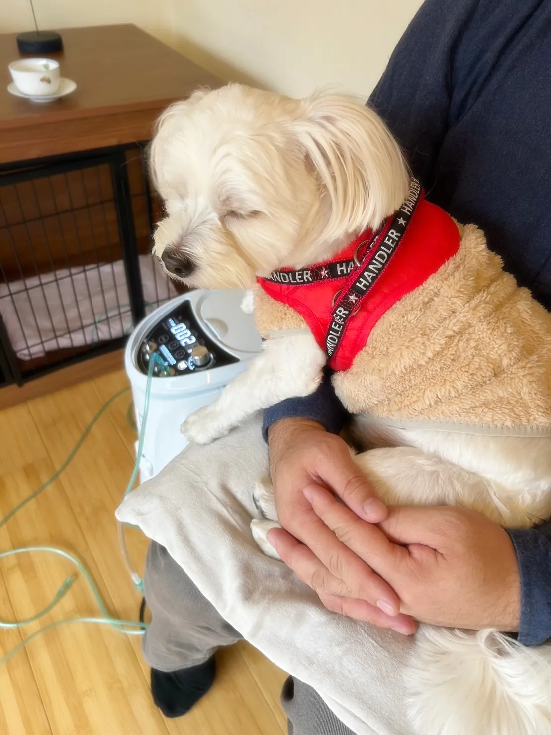 【ご来店ありがとうございます🍀】