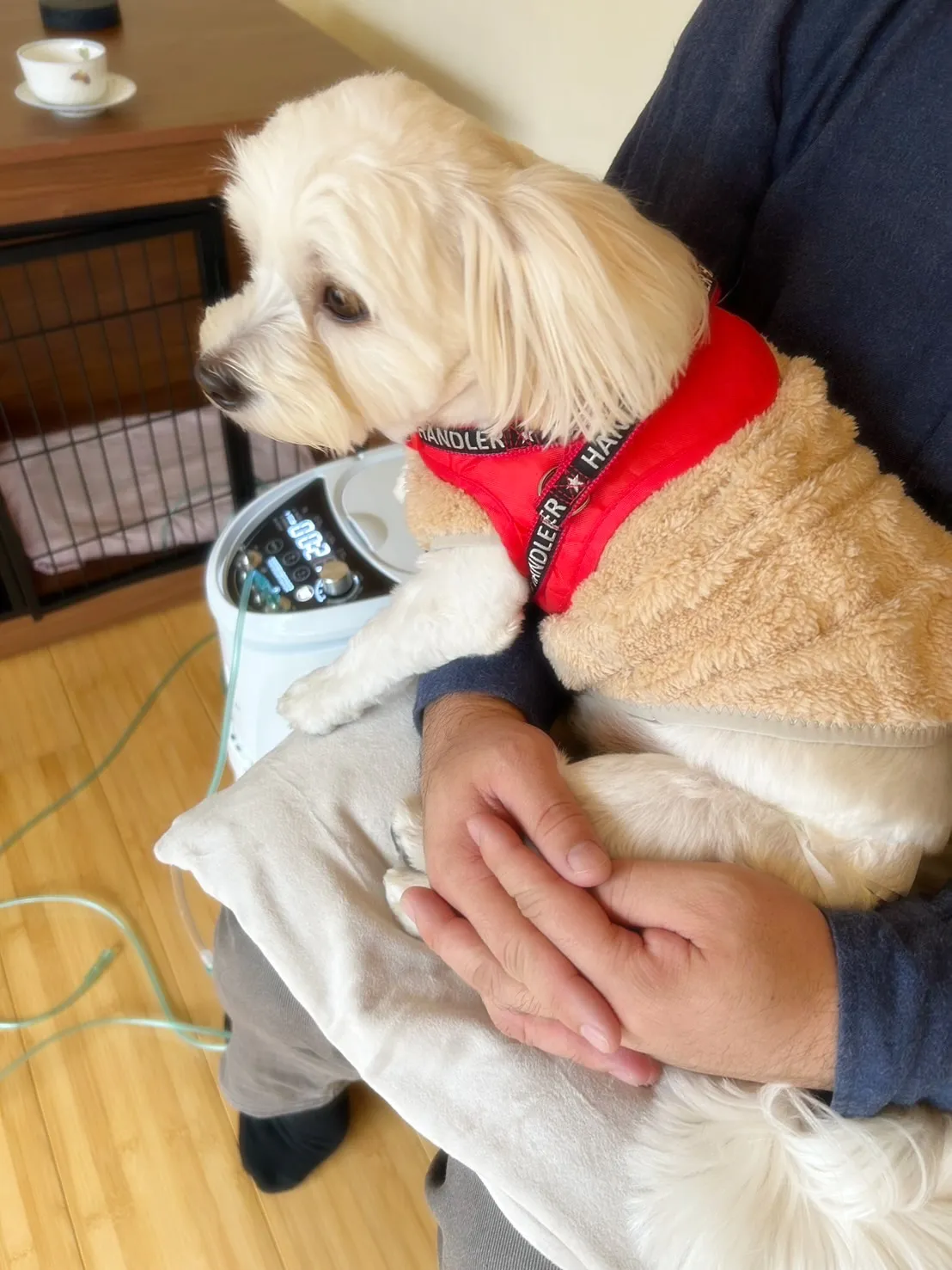 【ご来店ありがとうございます🍀】