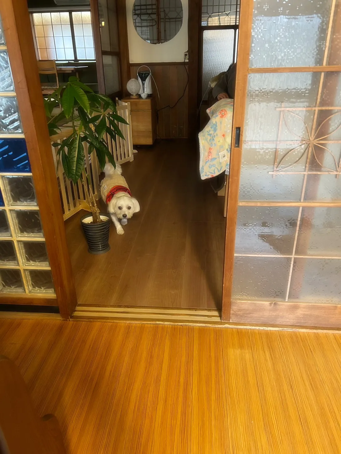 【ご来店ありがとうございます🍀】