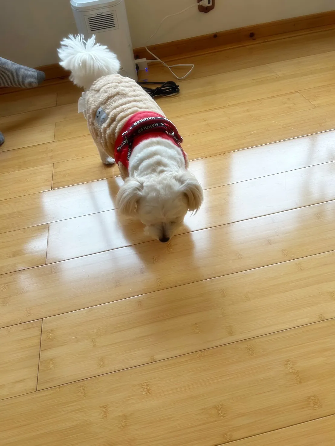 【ご来店ありがとうございます🍀】