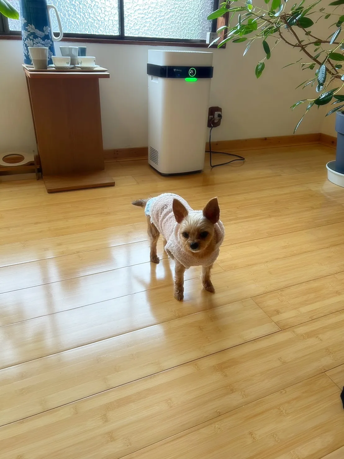 【ご来店ありがとうございます🍀】