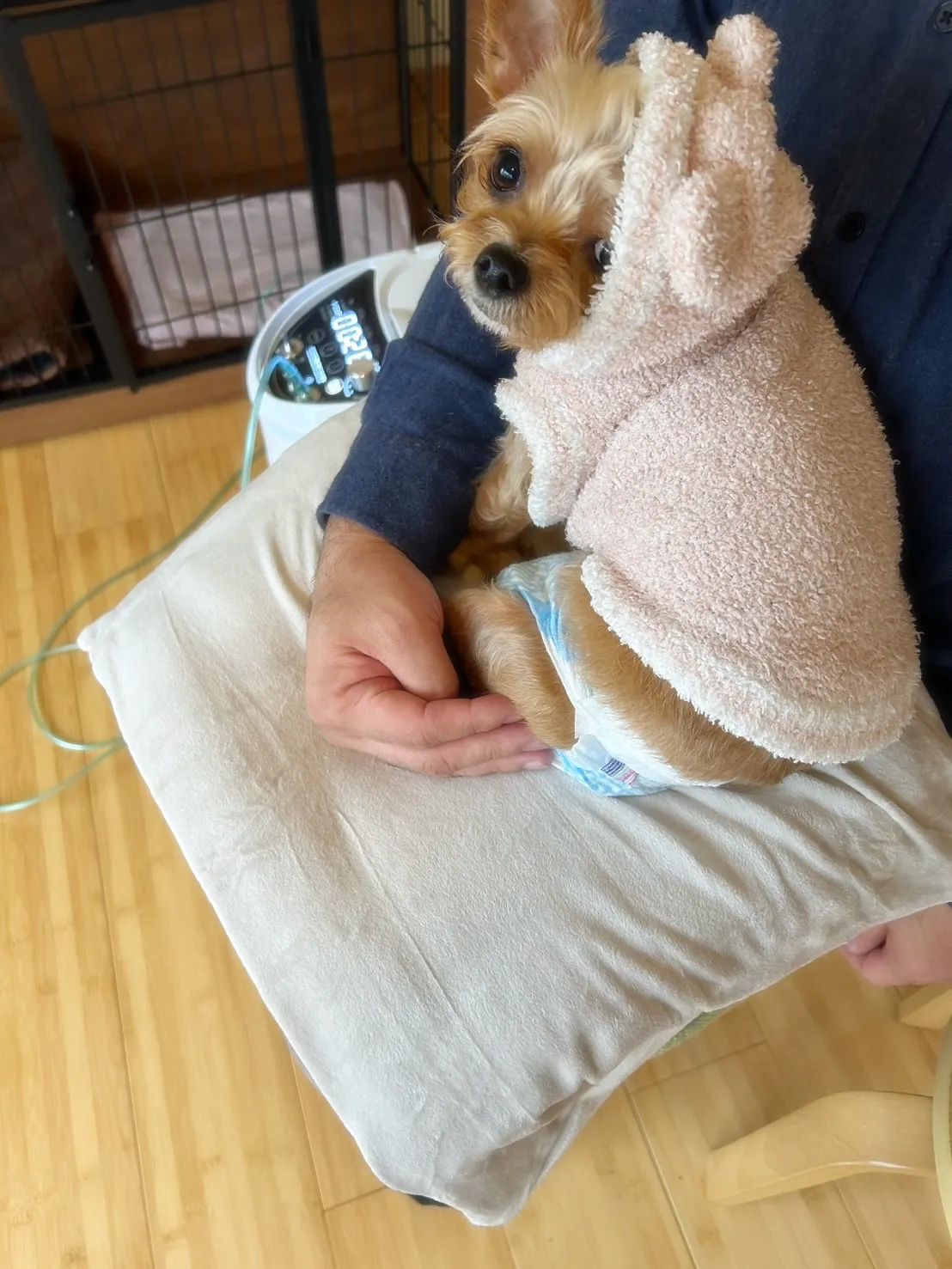 【ご来店ありがとうございます🍀】