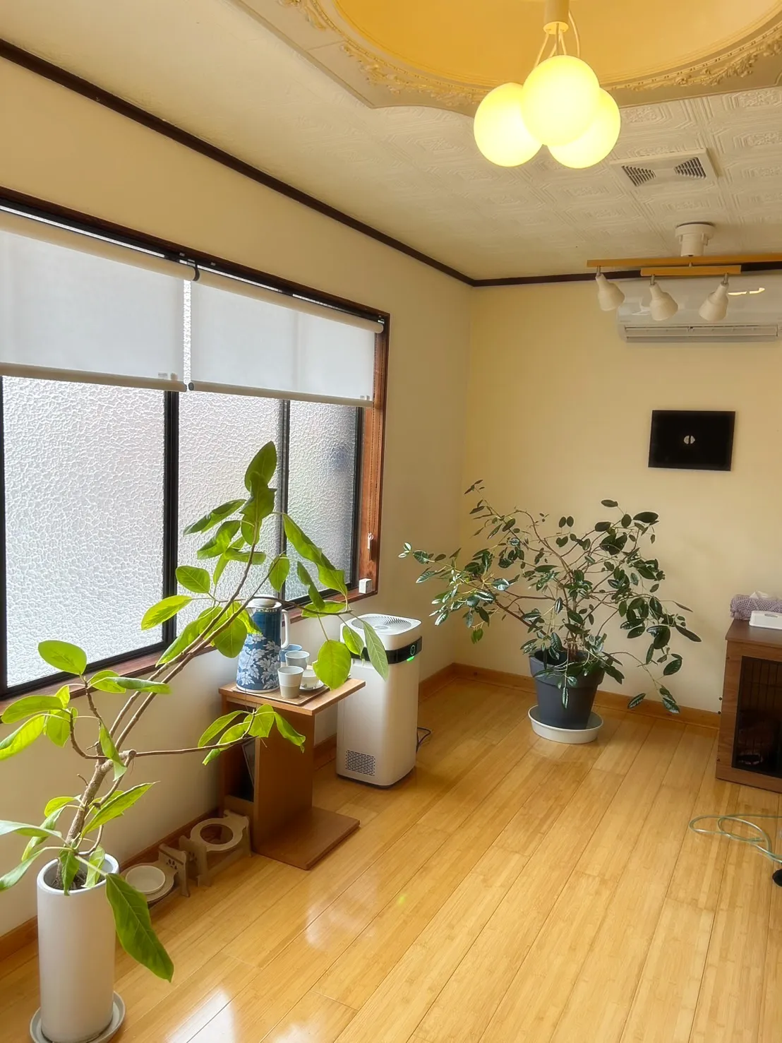 【ご来店ありがとうございます🍀】