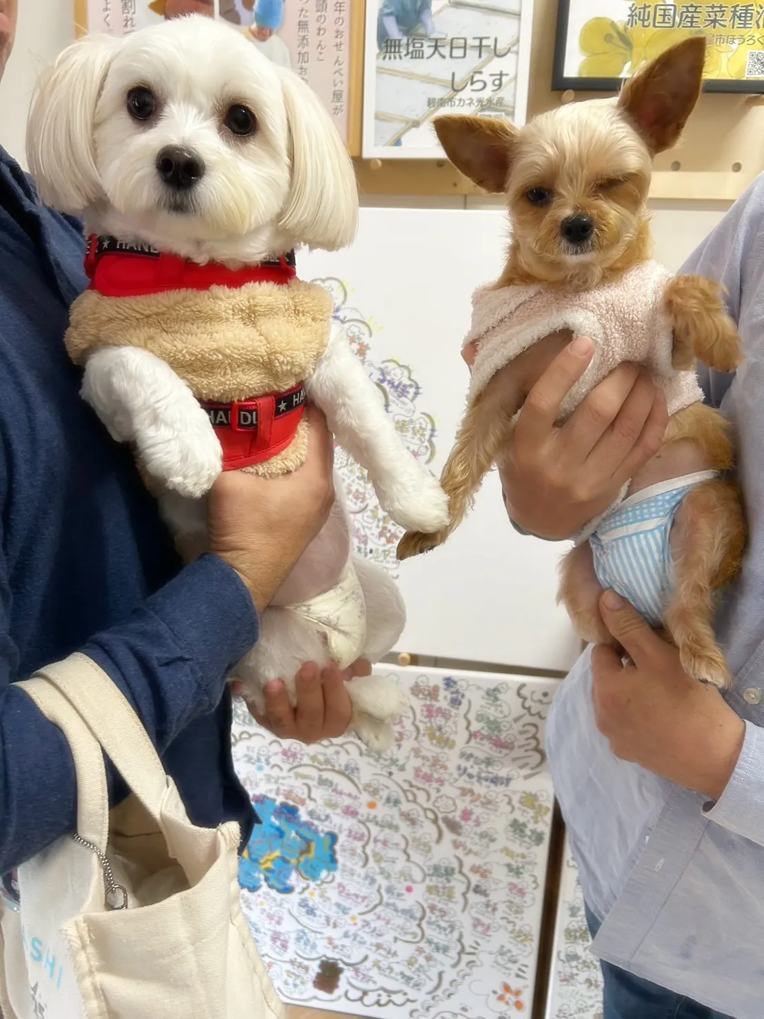 【ご来店ありがとうございます🍀】