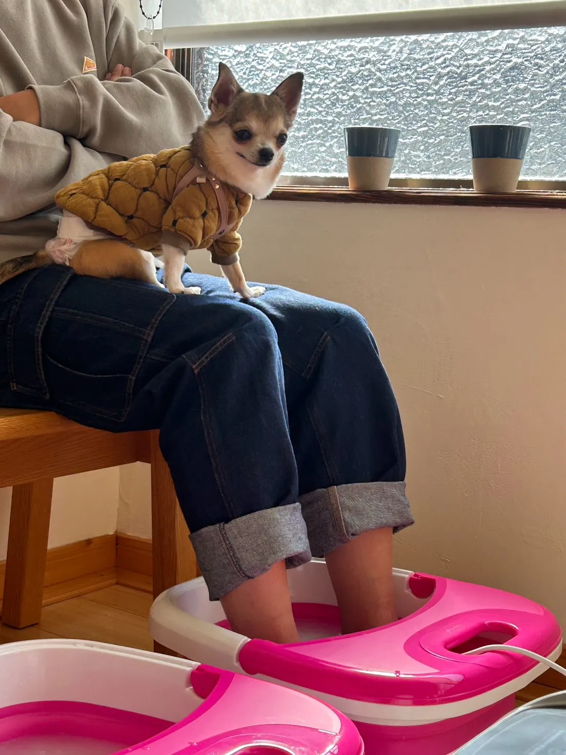 ふうりんはなうたちゃん・うりいとちゃん・こたろうくん。