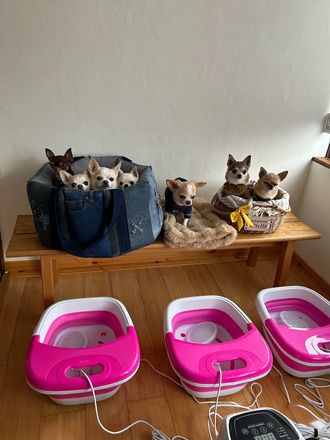 ふうりんはなうたちゃん・うりいとちゃん・こたろうくん。