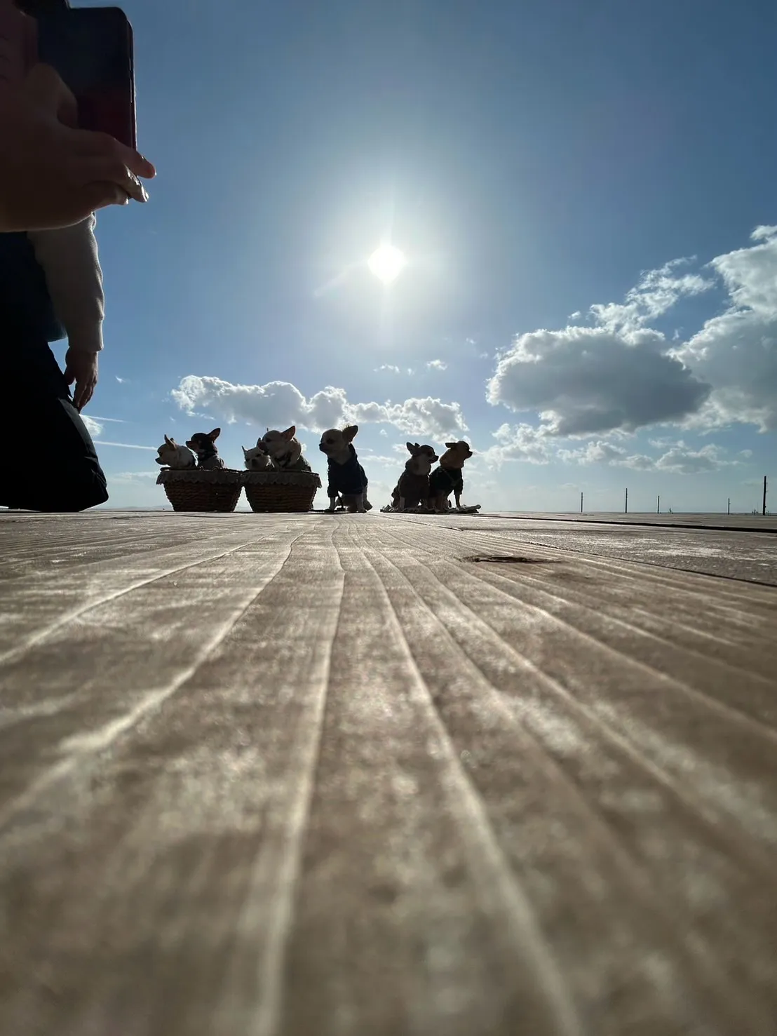 ふうりんはなうたちゃん・うりいとちゃん・こたろうくん。