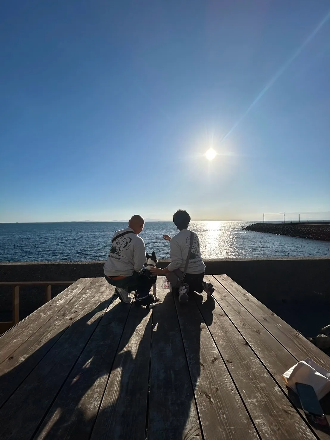 【ご来店ありがとうございます🌿】まめ吉くん（ボストンテリア・...